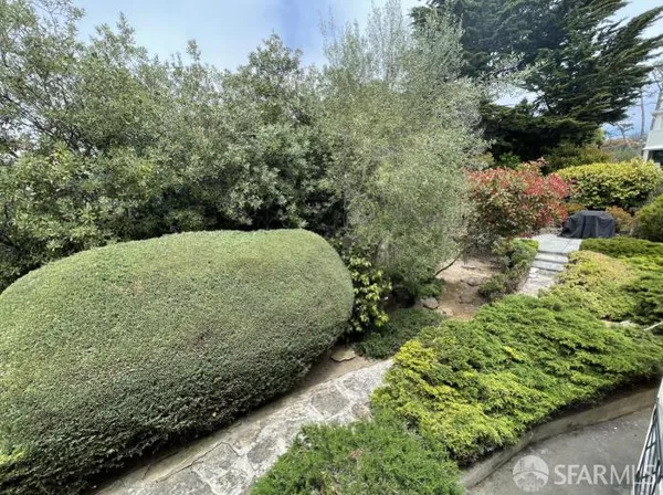 a view of a garden with plants