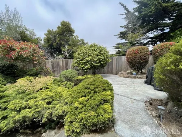 a view of a garden with plants