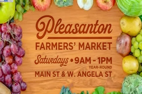 $1,475,000 | 297 Del Valle Court, Pleasanton, CA 94566