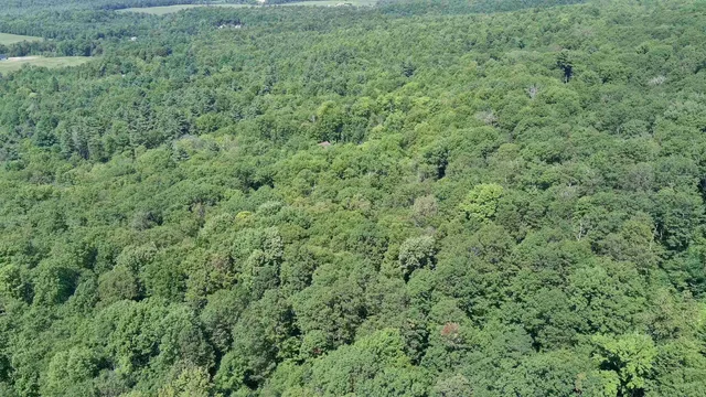 $199,000 | Tbd Blackberry Lane, Bristol, VT 05443