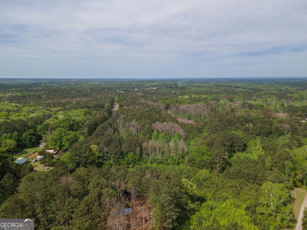 0 Beavers Road Grantville, GA 30220 - Photo 7 of 11