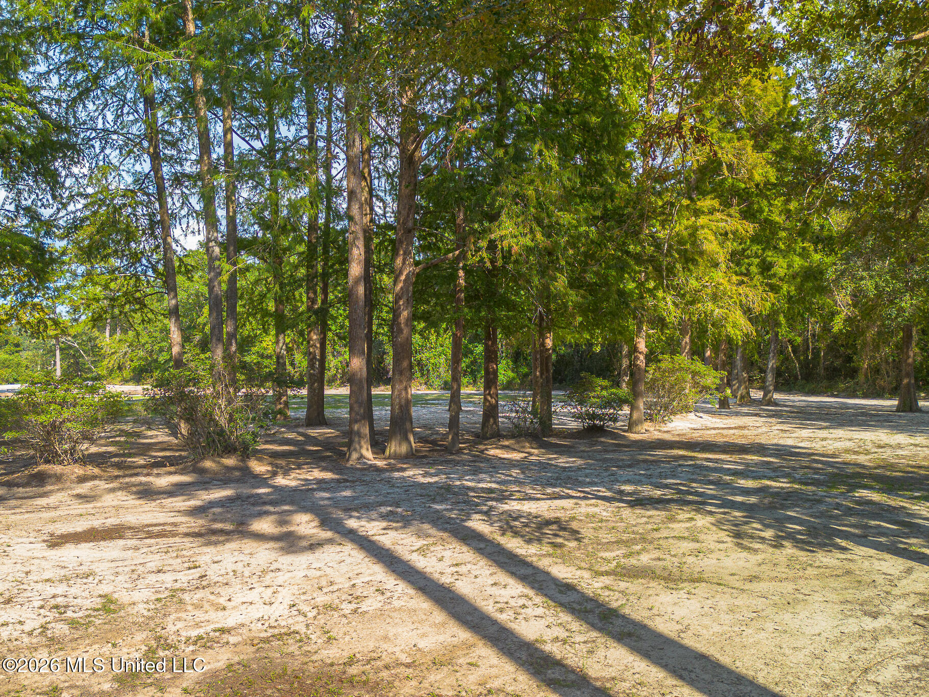 13756 River Road Gulfport, MS 39503 - Photo 49 of 93 Wooded East End