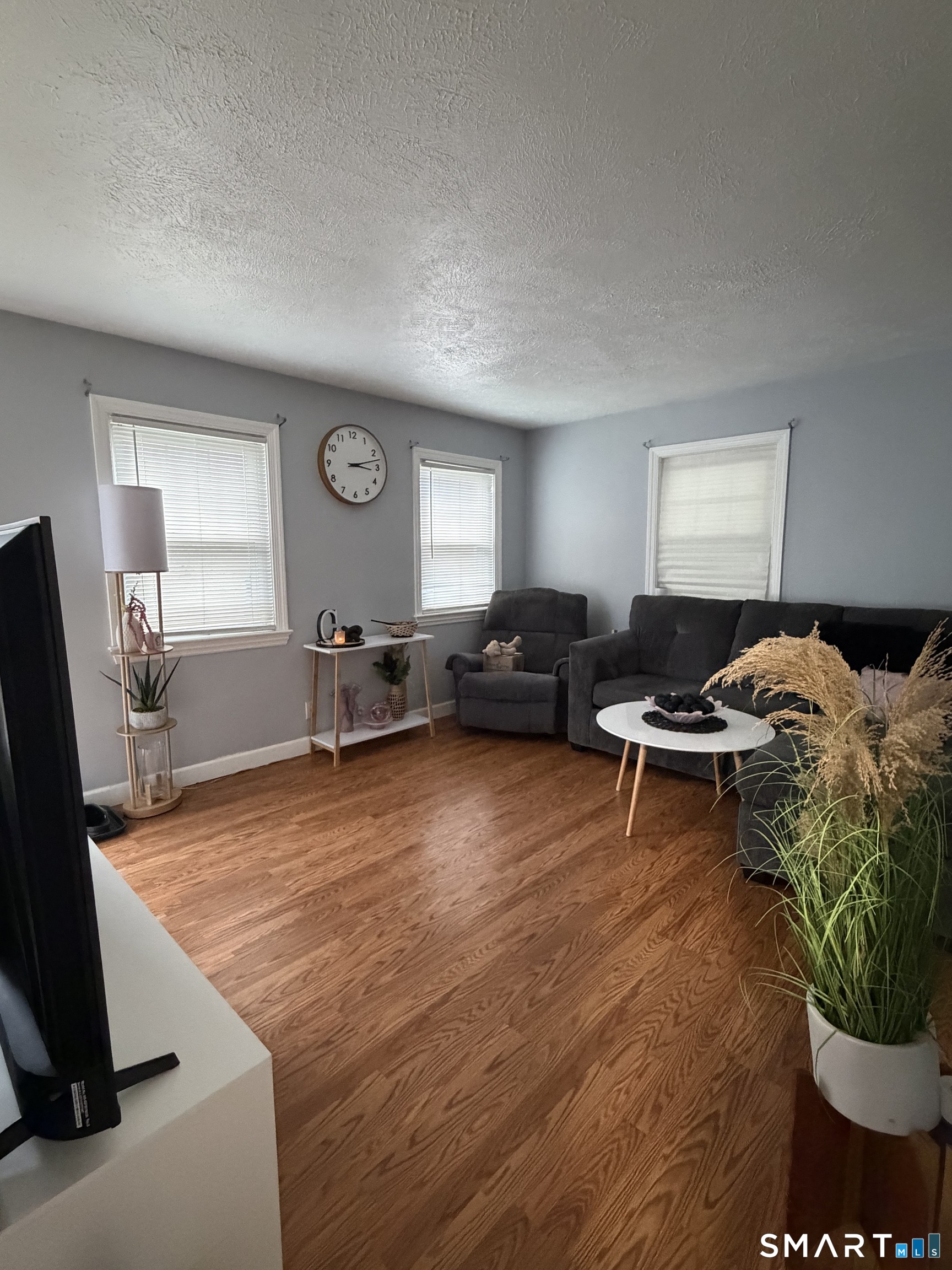 55 New Hanover Avenue Meriden, CT 06451 - Photo 24 of 33 a living room with furniture and a potted plant