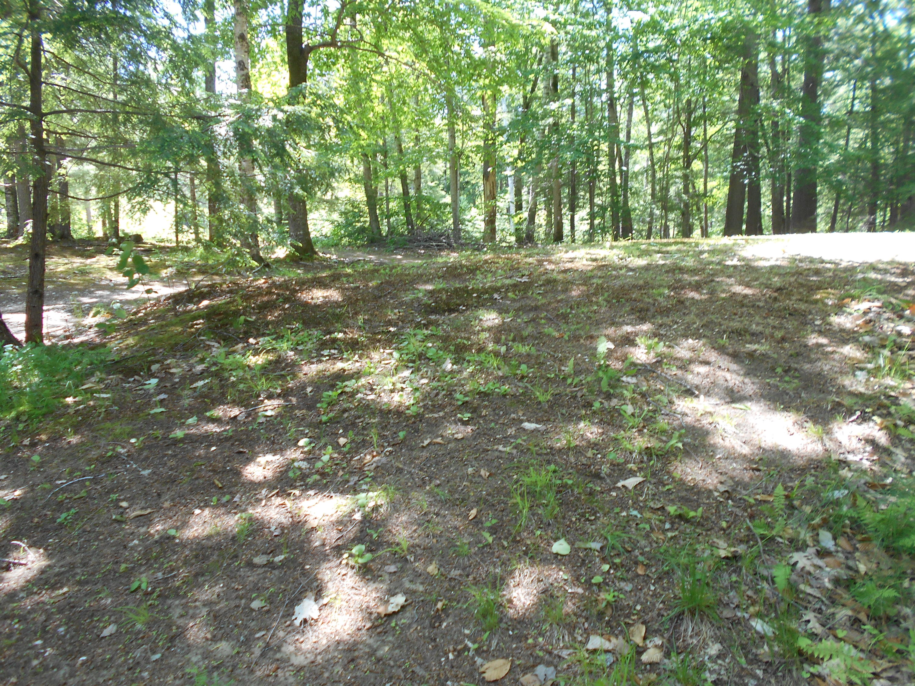 302 Pond Road Mercer, ME 04957 - Photo 41 of 47 2020-06-12 12.32.16