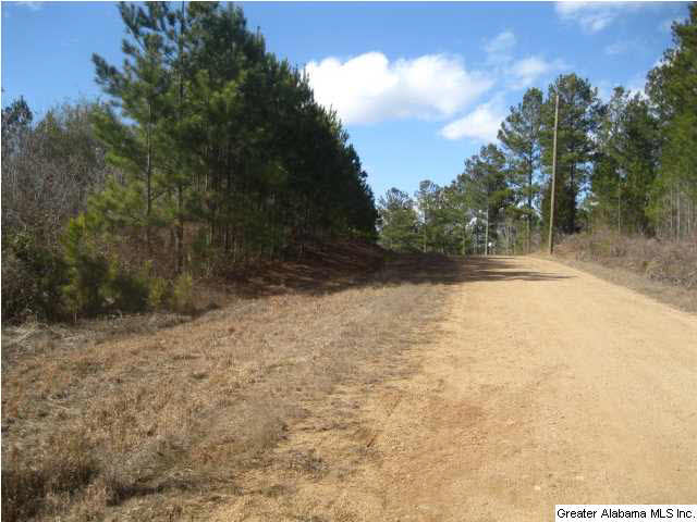 Turkey Ridge, Unit 36 Ragland, AL 35131 - Photo 6 of 13