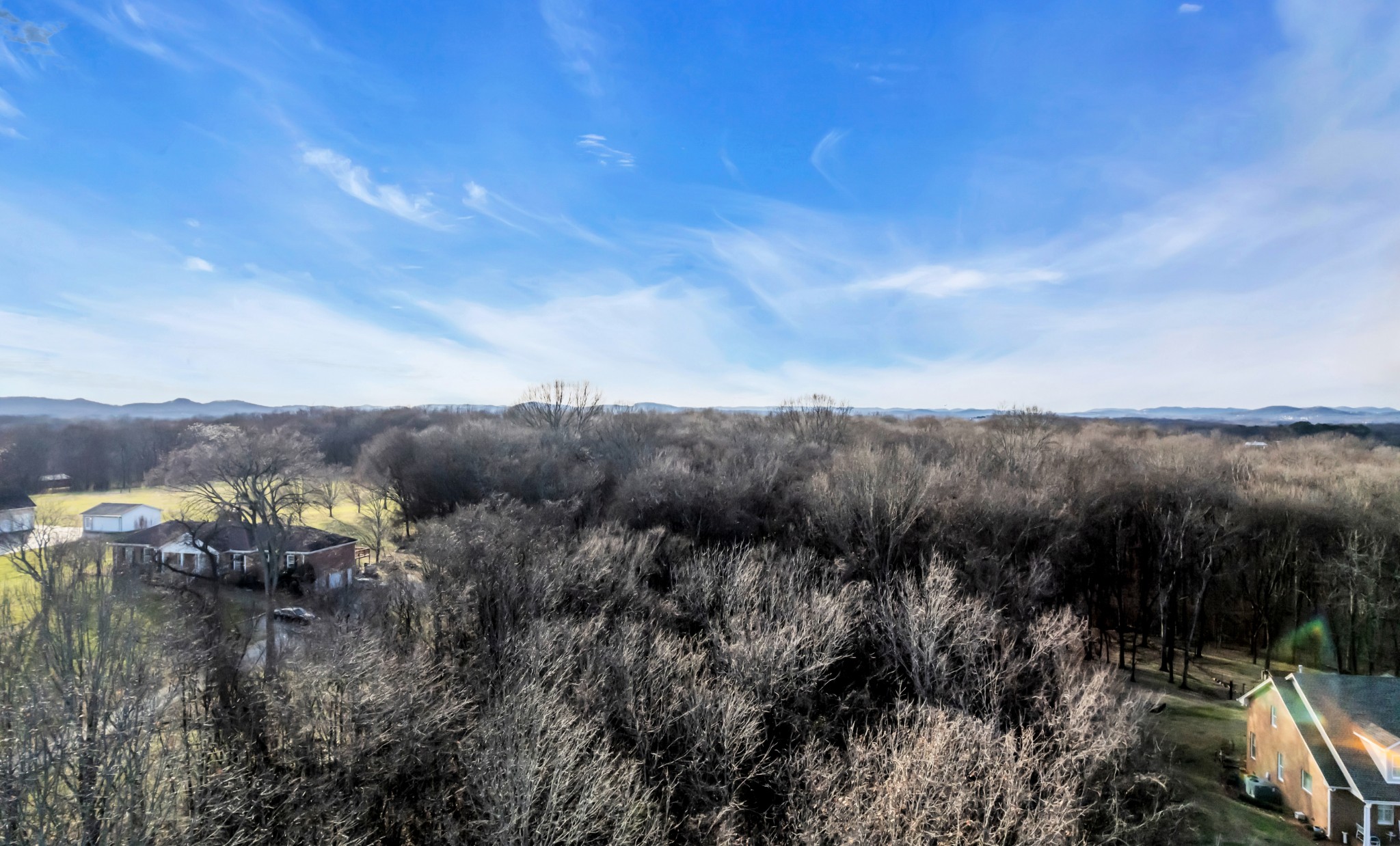 0 Battle Road Nolensville, TN 37135 - Photo 12 of 13 a view of a bunch of trees in a field