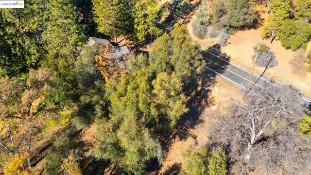 a view of a dry yard