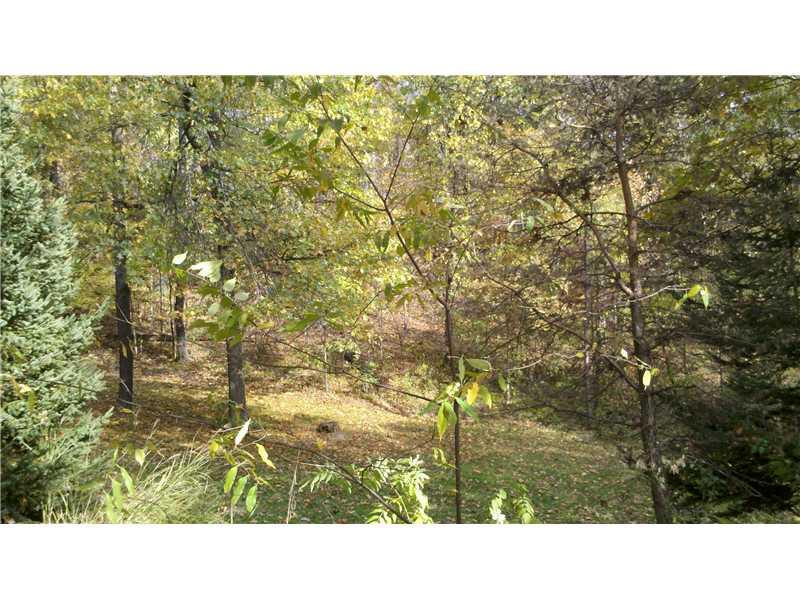 836 State Rt 30 Clinton, PA 15026 - Photo 19 of 21 Land/Lot.