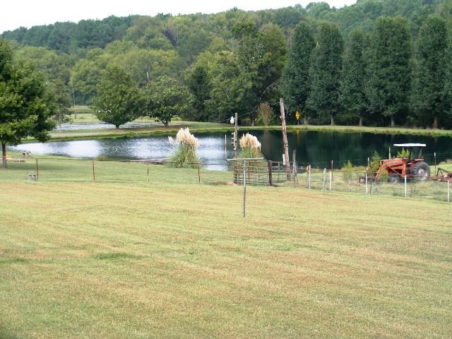 4503 Blue Springs Road Cleveland, TN 37311 - Photo 4 of 60 Gallery Image 4