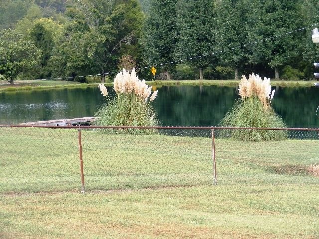 4503 Blue Springs Road Cleveland, TN 37311 - Photo 7 of 60 Gallery Image 7