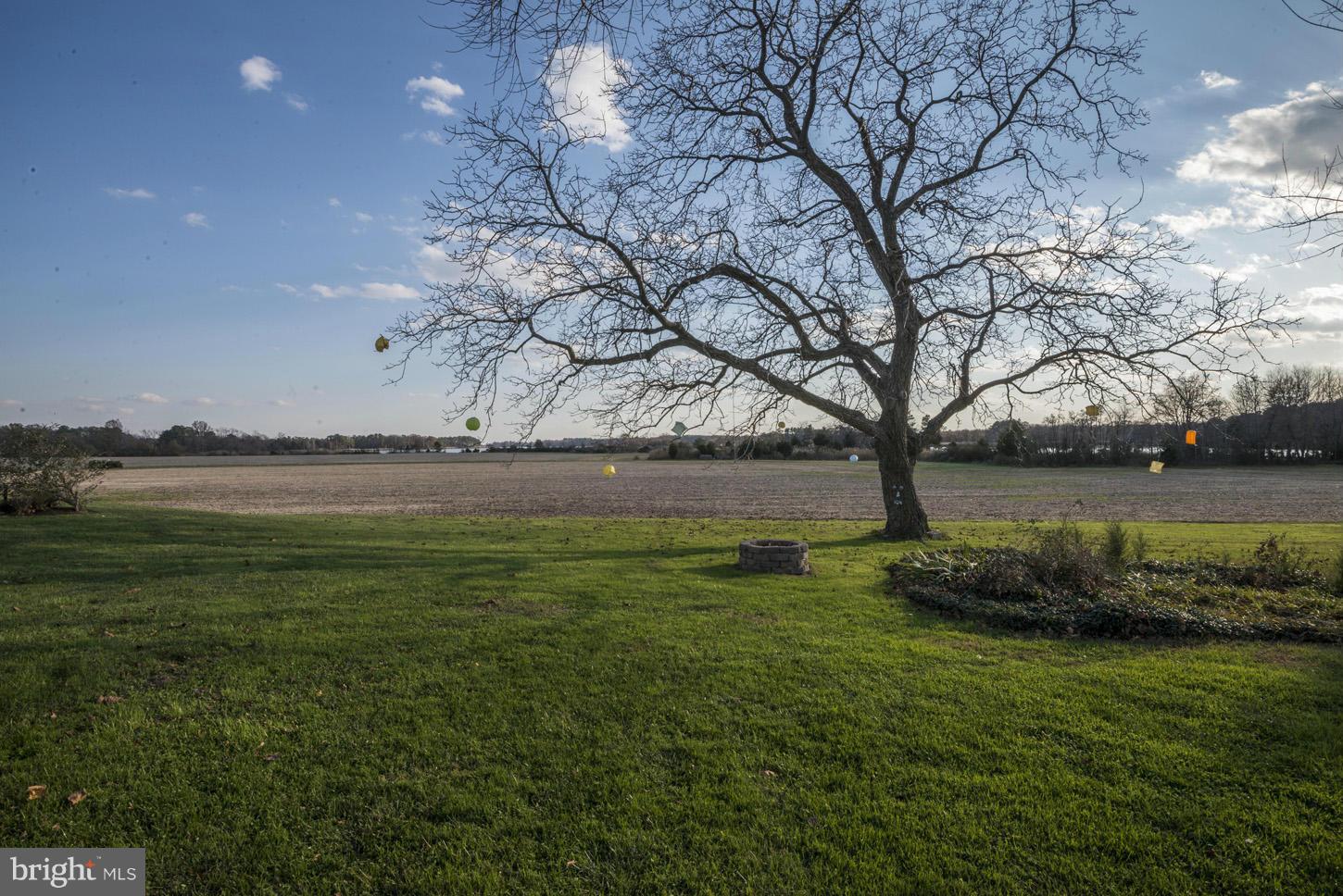 4940 Skinners Neck Road Rock Hall, MD 21661 - Photo 28 of 30 a view of a garden with an outdoor space