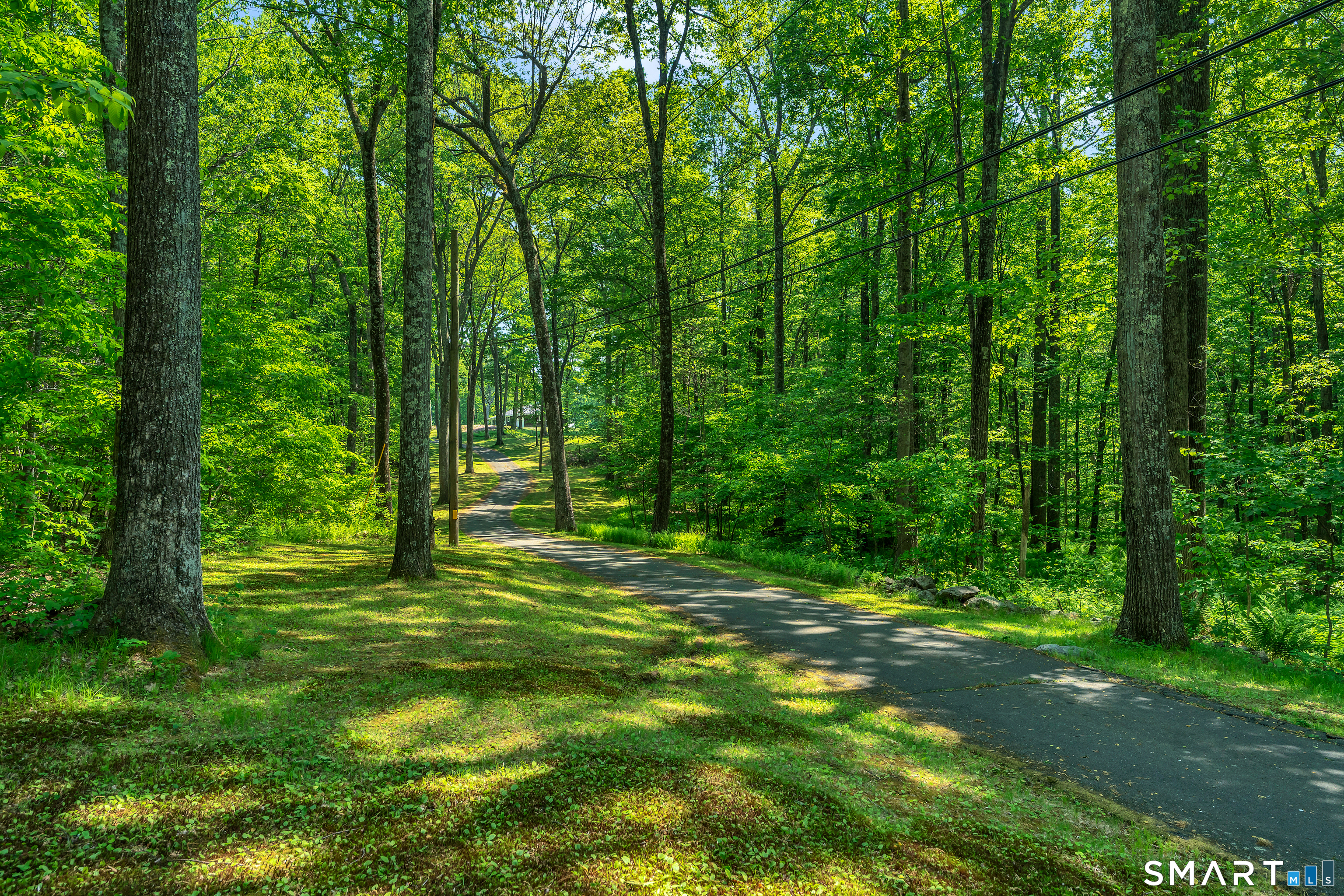 30 Maltbie Road Newtown, CT 06470 - Photo 40 of 40 a big yard with lots of green space and trees