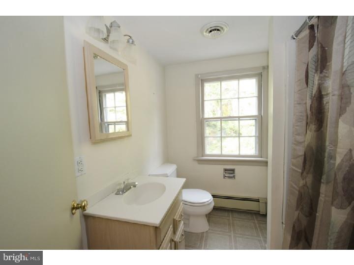702 Hamilton Road Bryn Mawr, PA 19010 - Photo 20 of 25 Bathroom
