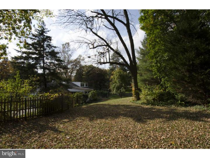 702 Hamilton Road Bryn Mawr, PA 19010 - Photo 24 of 25 Back Yard