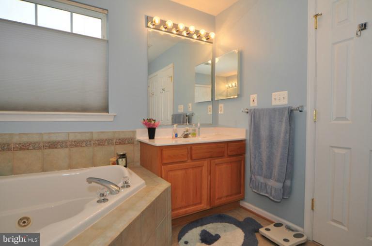 610 Springhouse Square Southeast Leesburg, VA 20175 - Photo 23 of 30 Big soaking tub