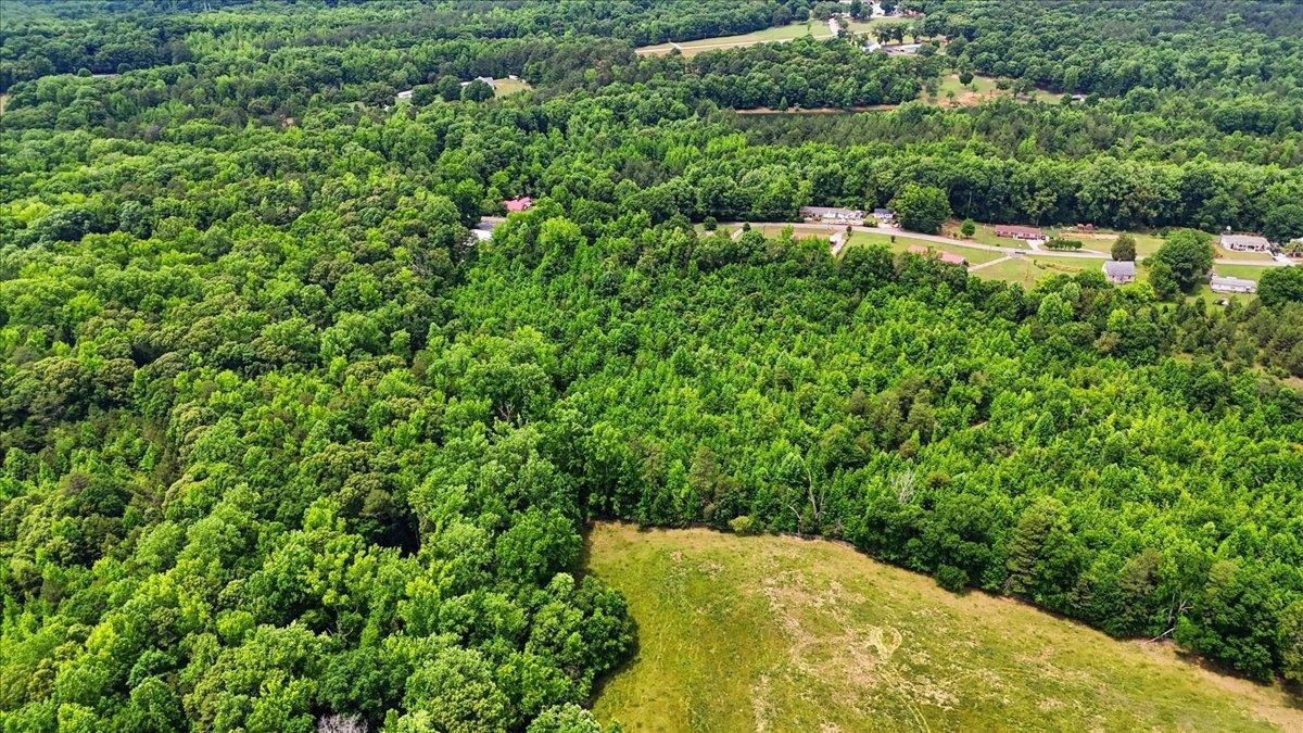 0 Woodville Road Pelzer, SC 29669 - Photo 2 of 12