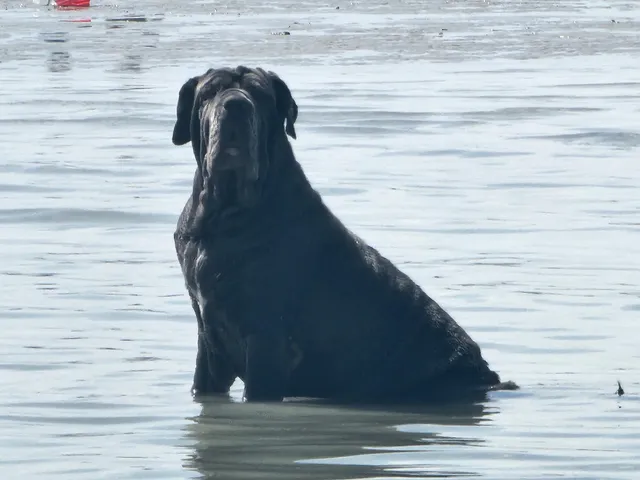 a close up of a potted plant sitting on a floor