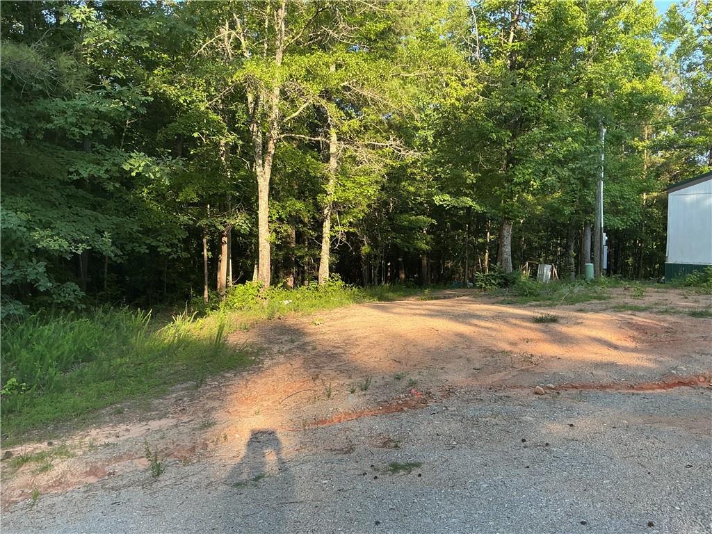 703 Central High Road Carrollton, GA 30116 - Photo 20 of 27