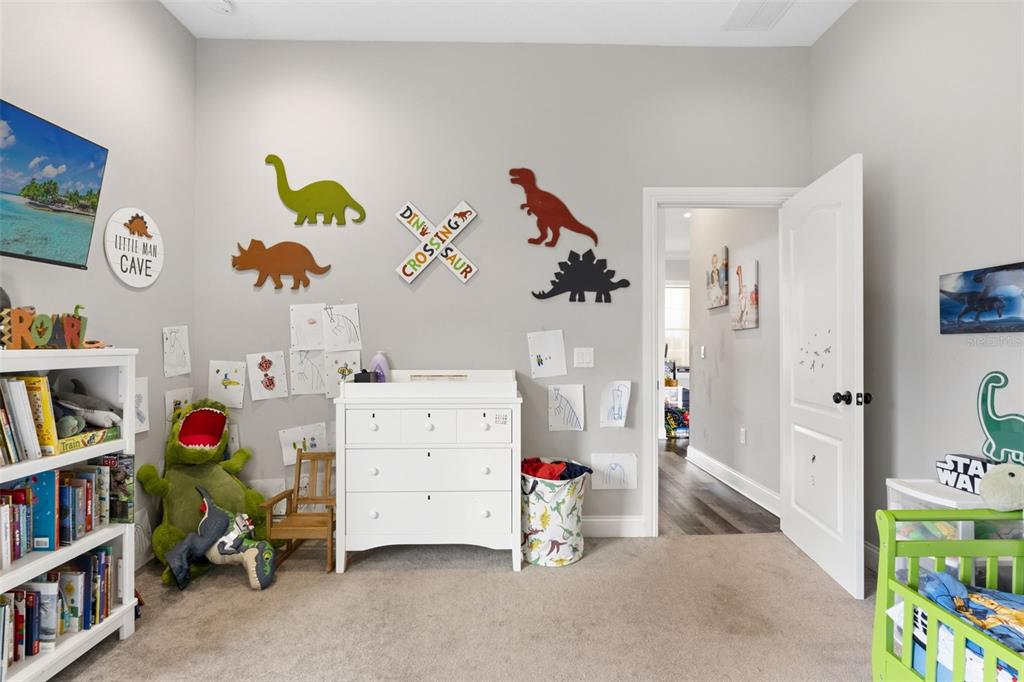 11657 Moore Road Lakeland, FL 33809 - Photo 58 of 87 Gallery Image 58
