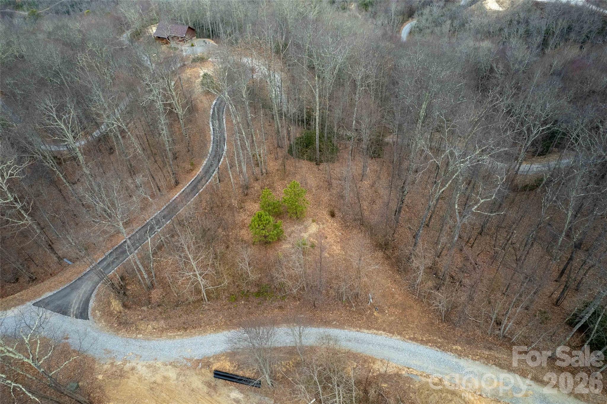 Lot 33 Alarka Highlands Road Bryson City, NC 28713 - Photo 5 of 7