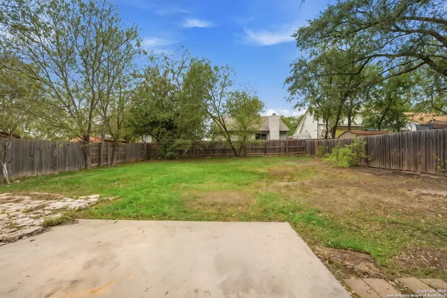 a view of a yard with tree s
