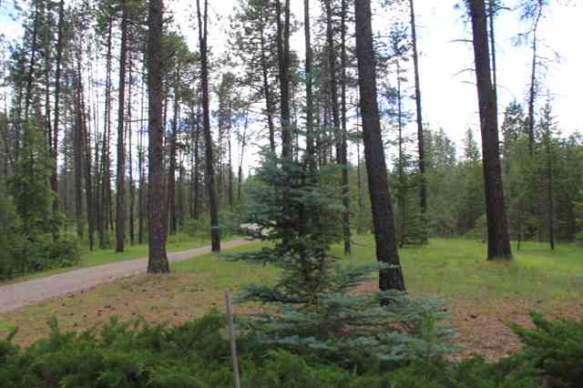 4050 Lyon And Moss Road Loon Lake, WA 99148 - Photo 18 of 20 Gallery Image 18