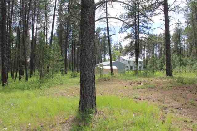 4050 Lyon And Moss Road Loon Lake, WA 99148 - Photo 19 of 20 Gallery Image 19