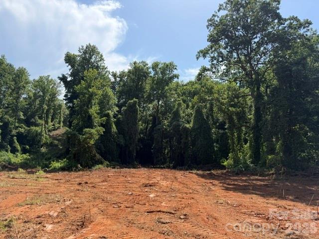 9999 Bill Collins Road Columbus, NC 28722 - Photo 5 of 17 a street view with large trees