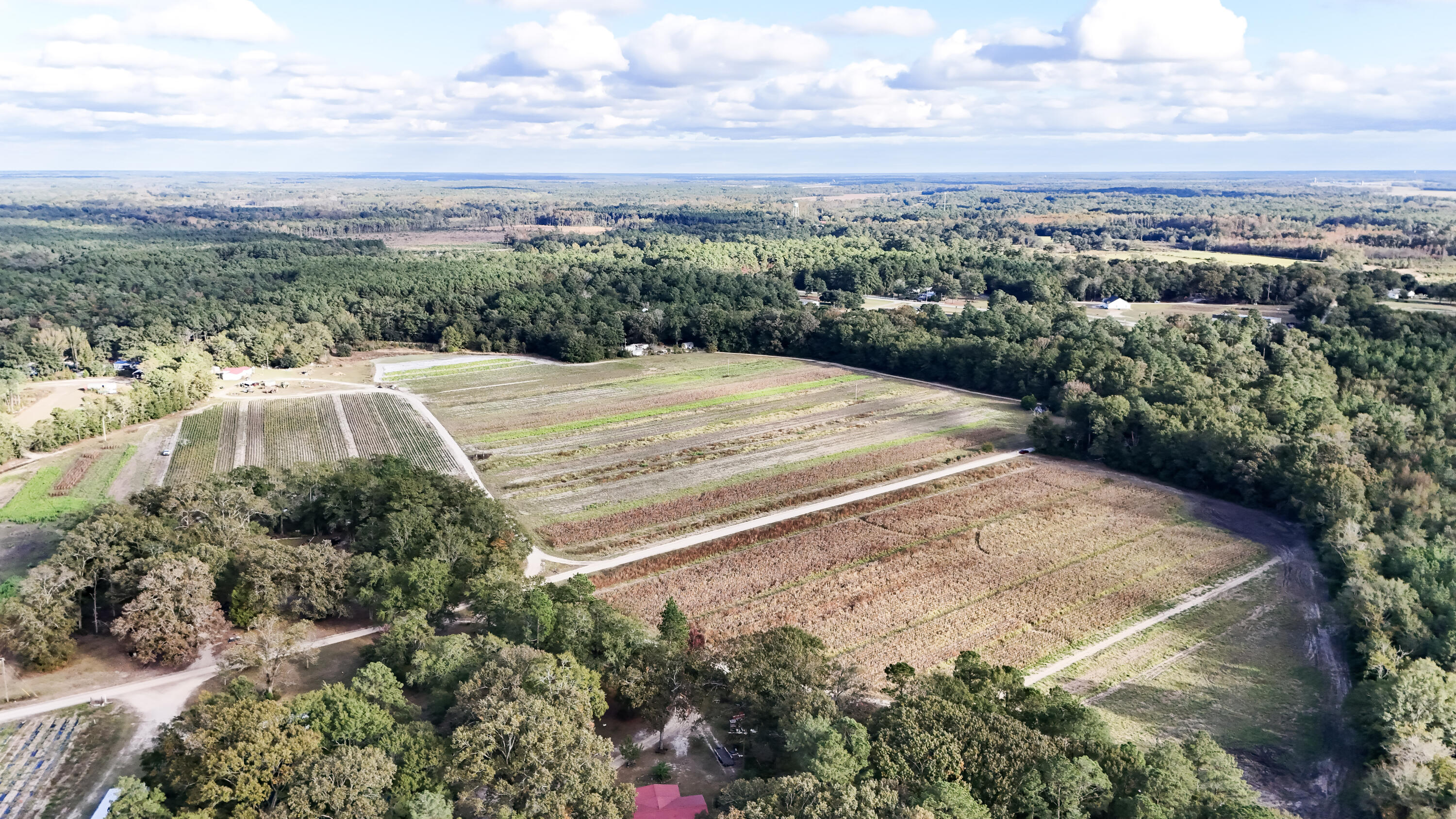 0 Chavis Road Blackville, SC 29817 - Photo 4 of 22 45-DJI_20251031044910_0227_D