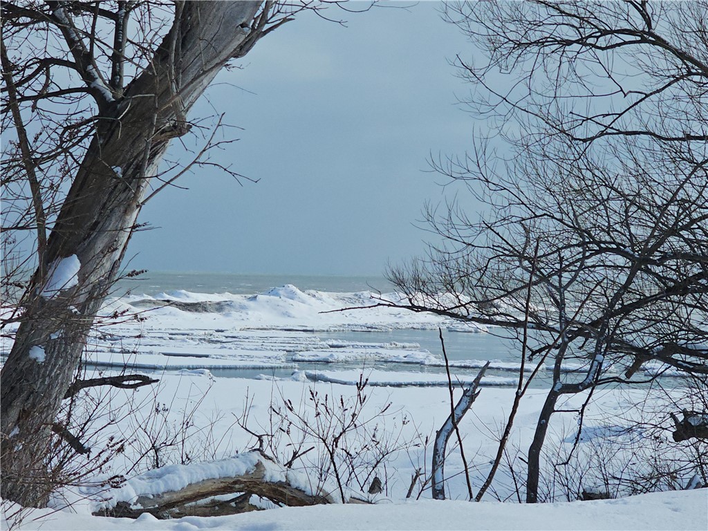 144 Mann Road Greece, NY 14612 - Photo 34 of 42