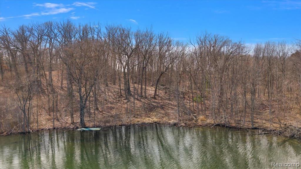 10515 Horton Road Goodrich, MI 48438 - Photo 13 of 13