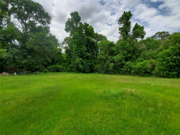 a view of yard with green space
