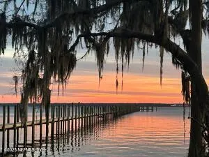 an aerial view of a house with a garden and trees