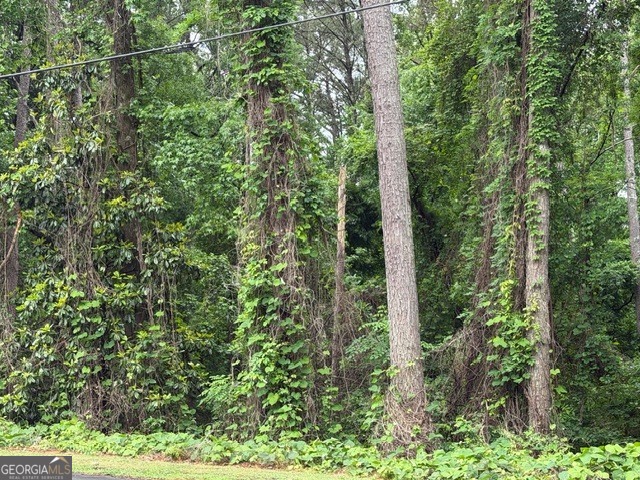 0 Johnson Road Palmetto, GA 30268 - Photo 3 of 12