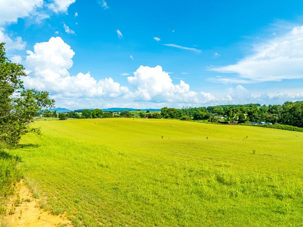 Tbd Imperial Lane Rural Retreat, VA 24368 - Photo 24 of 71 Gallery Image 24