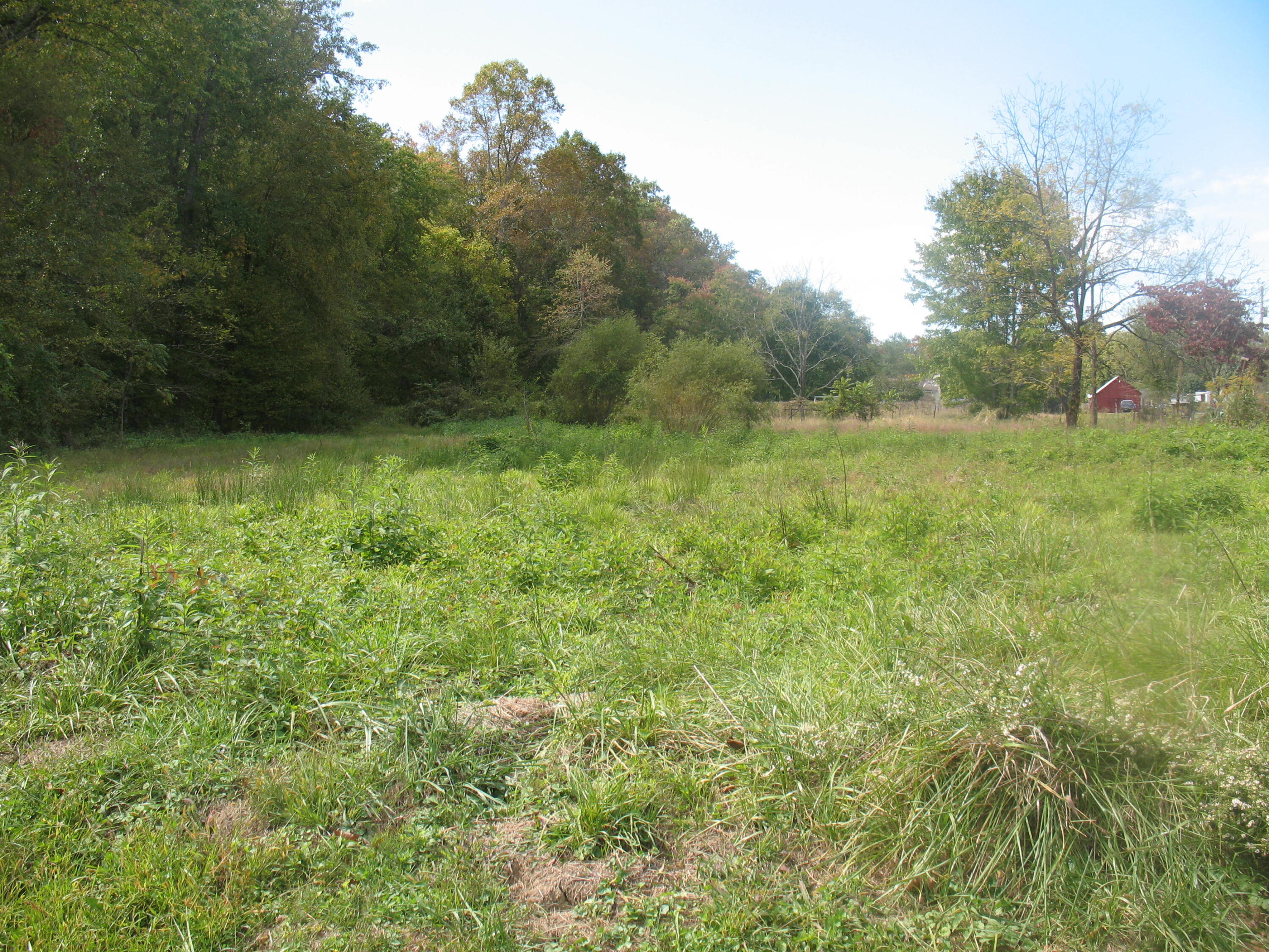 0 Southard Road London, KY 40741 - Photo 4 of 5 IMG_4424
