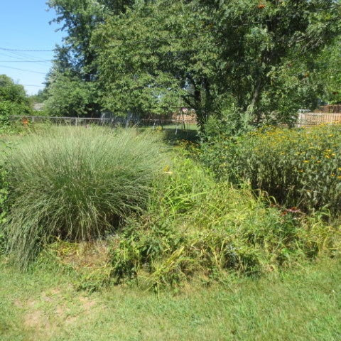 343 Maple Street Coloma, MI 49038 - Photo 22 of 28 IMG_2694