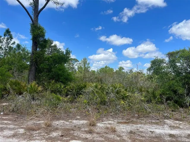 $20,000 | 331 Tanager Avenue, Sebring, FL 33870