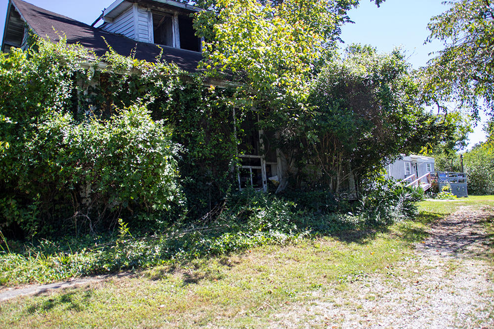 907 West Union Valley Road Seymour, TN 37865 - Photo 8 of 8 8