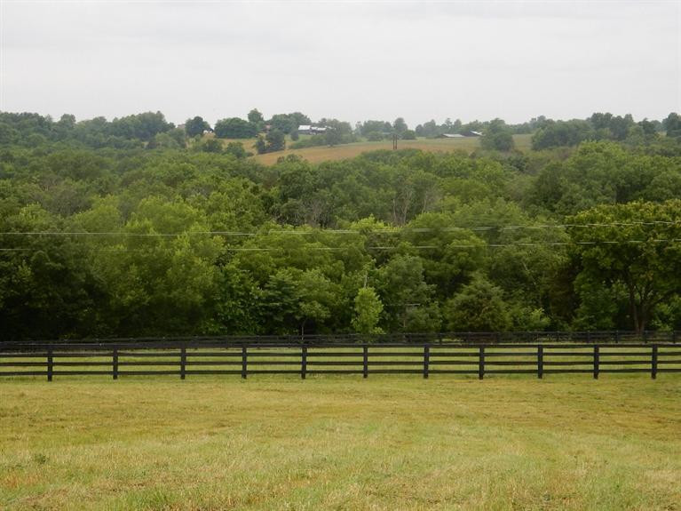 1084 Hifner Road Versailles, KY 40383 - Photo 5 of 22 Photo 5