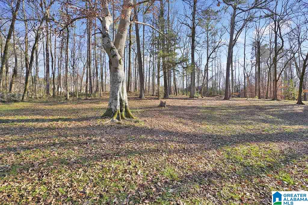 2329 Montevallo Road Southwest Leeds, AL 35094 - Photo 30 of 32