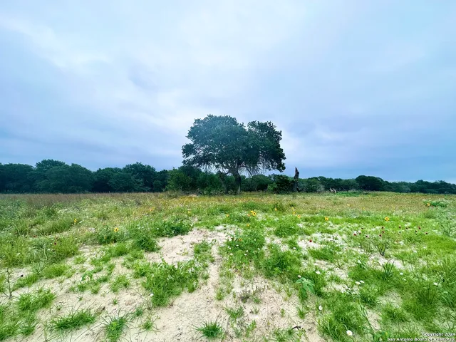 a view of lake with city view