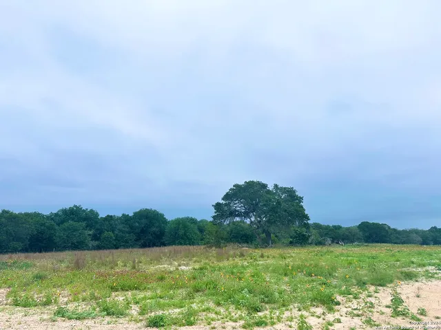 a view of a green field with an ocean view