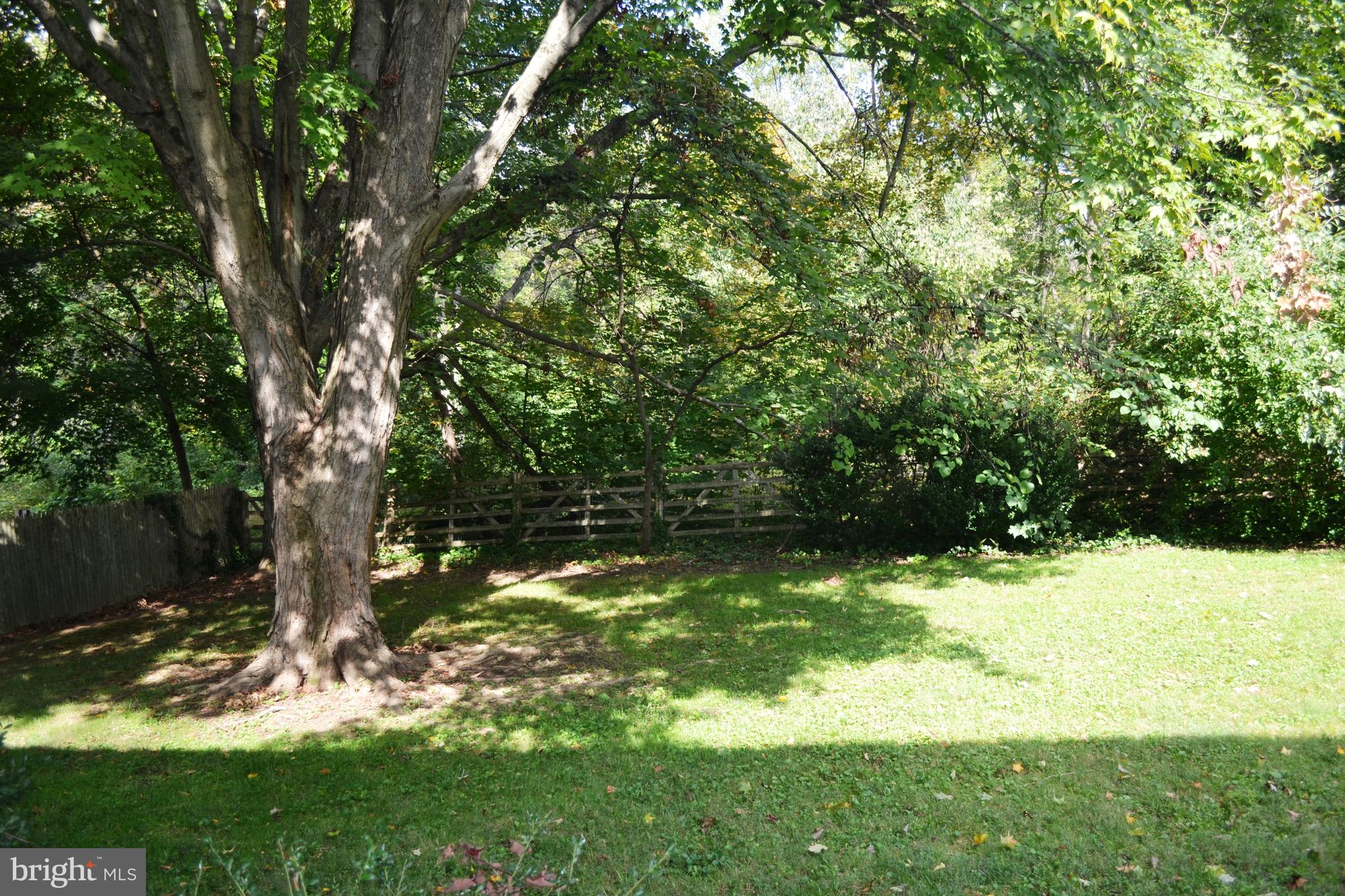 14 Ritter Lane Newark, DE 19711 - Photo 25 of 27 Private Backyard