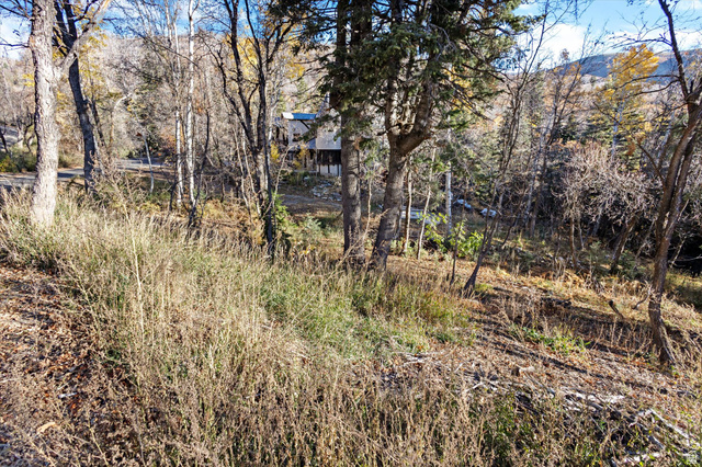 9128 Timphaven Road, Unit 15 Provo, UT 84604 - Photo 8 of 25