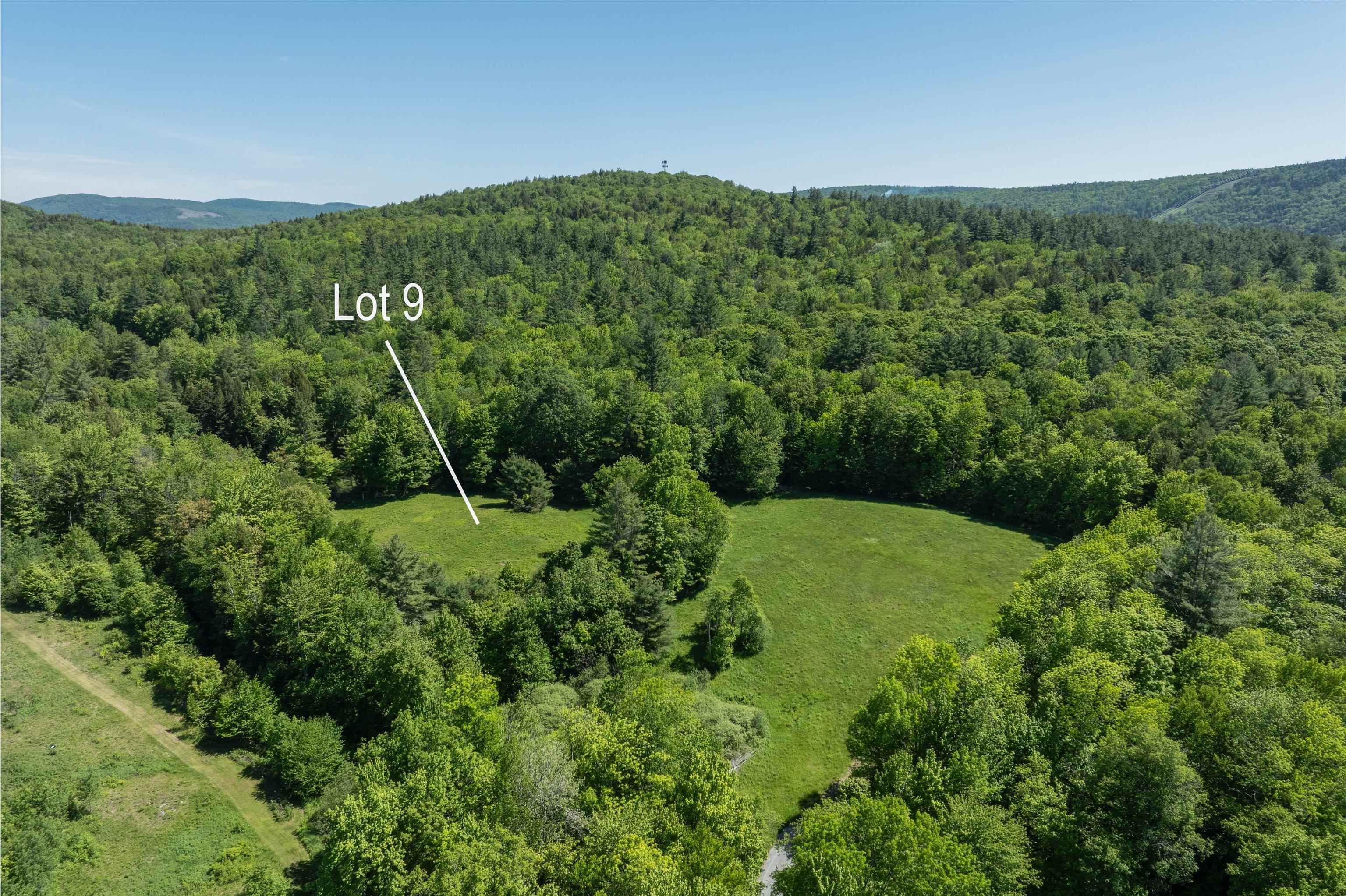 0 Rod And Gun Club Road, Unit 9 Ludlow, VT 05149 - Photo 2 of 25