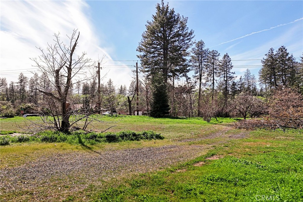 6130 Pentz Road Paradise, CA 95969 - Photo 2 of 14 a view of a backyard with large trees