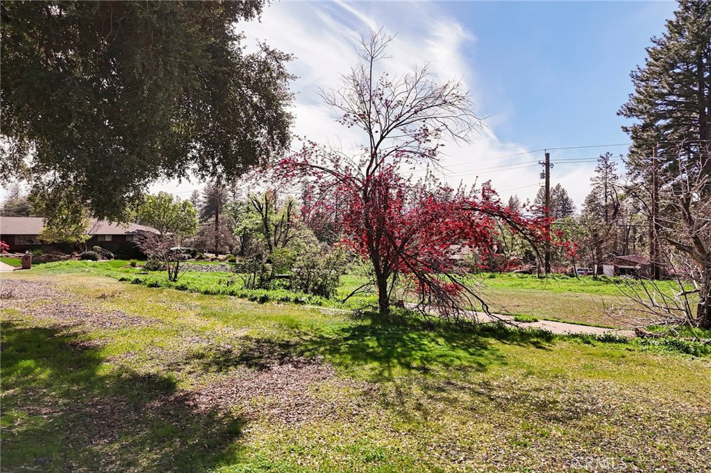 6130 Pentz Road Paradise, CA 95969 - Photo 3 of 14 a view of a park with large trees