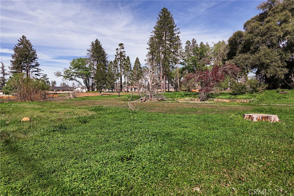 6130 Pentz Road Paradise, CA 95969 - Photo 4 of 14 a view of a park with large trees