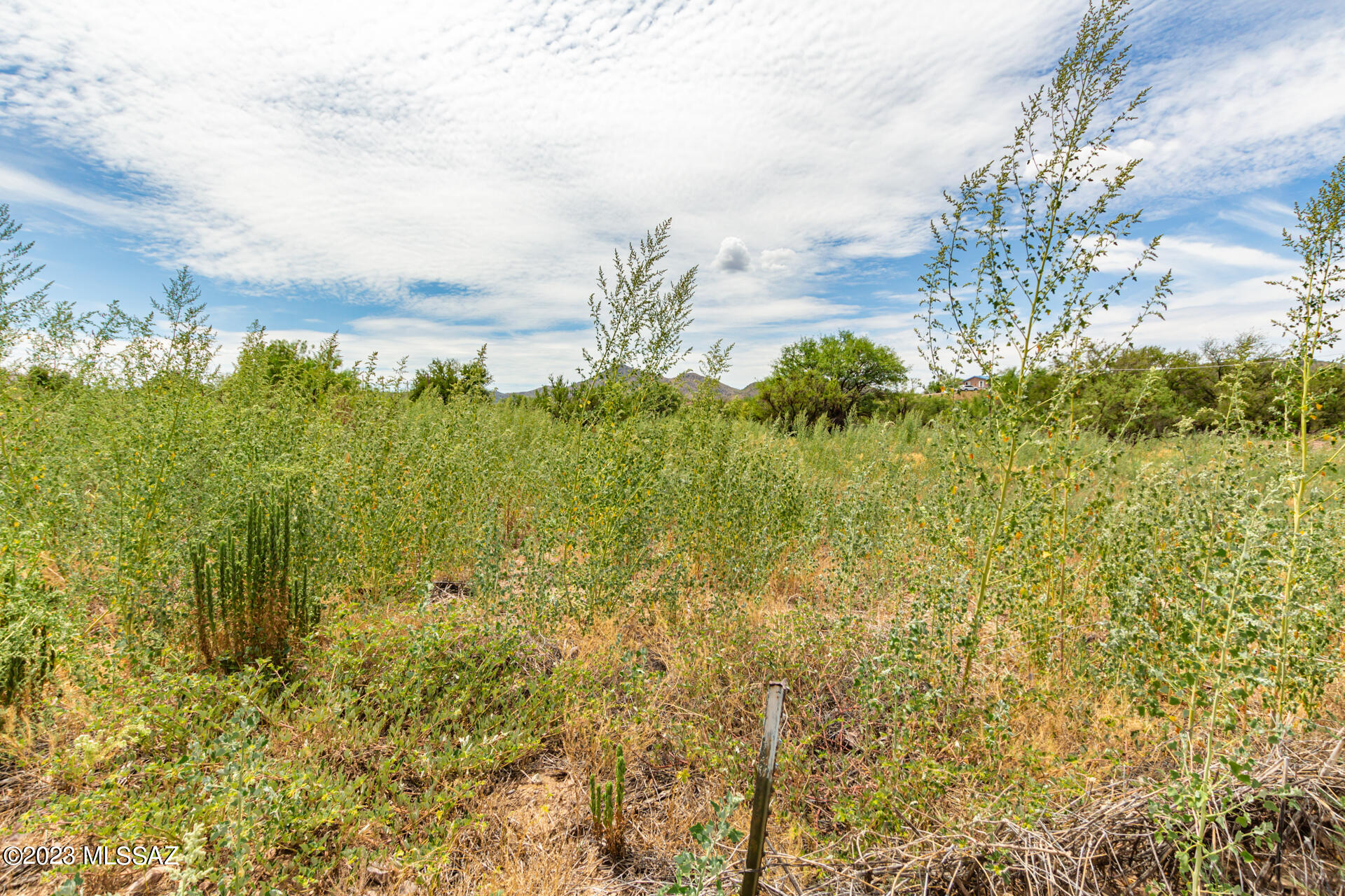 16935 West Hinkley Road Arivaca, AZ 85601 - Photo 8 of 12 Gallery Image 8